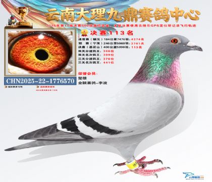 大理九鼎决赛113名