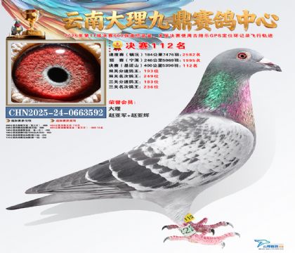 大理九鼎决赛112名