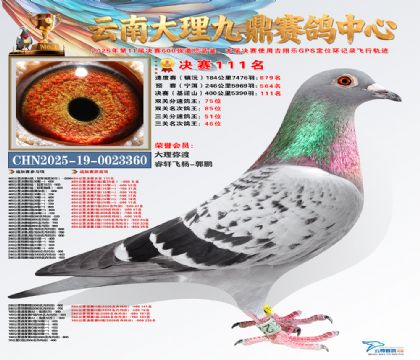 大理九鼎决赛111名