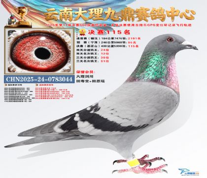 大理九鼎决赛115名