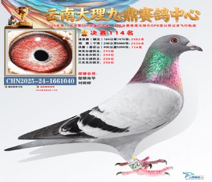 大理九鼎决赛114名