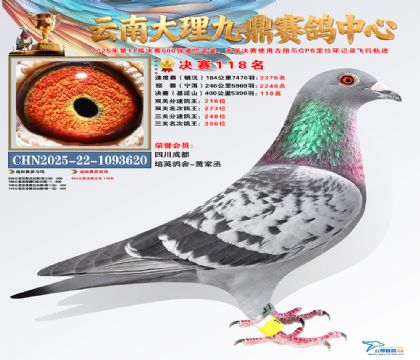 大理九鼎决赛118名