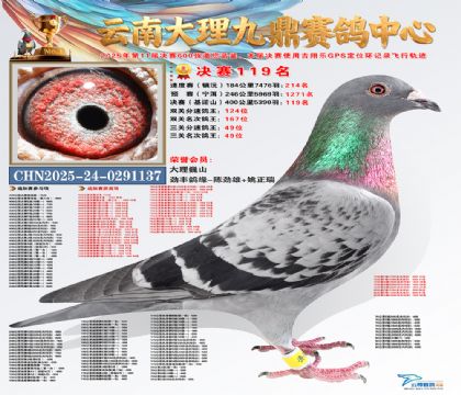 大理九鼎决赛119名