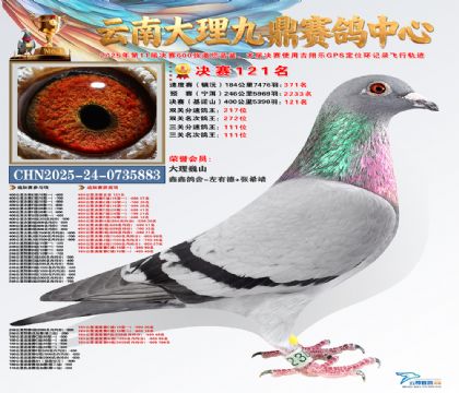 大理九鼎决赛121名