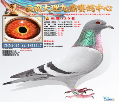 大理九鼎决赛120名