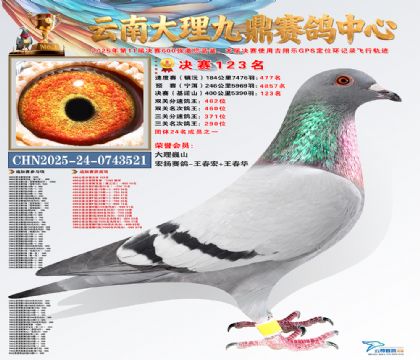 大理九鼎决赛123名