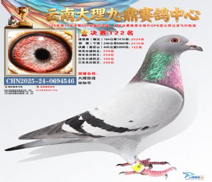 大理九鼎决赛122名