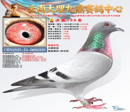 大理九鼎决赛125名