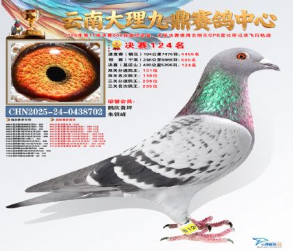 大理九鼎决赛124名