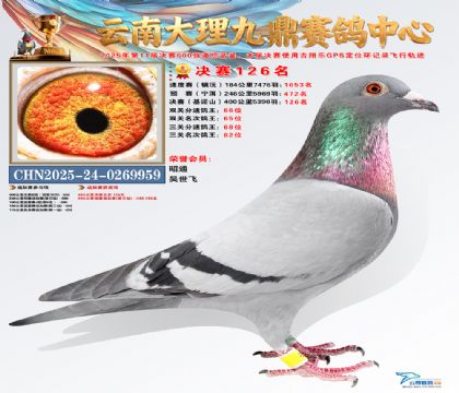 大理九鼎决赛126名