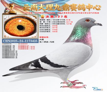 大理九鼎决赛127名