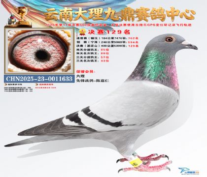 大理九鼎决赛129名