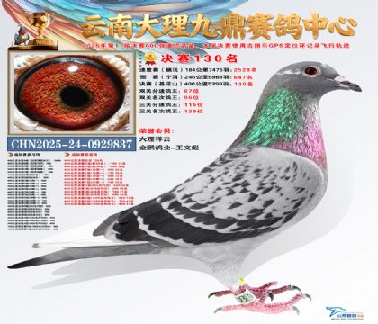 大理九鼎决赛130名