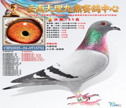 大理九鼎决赛131名