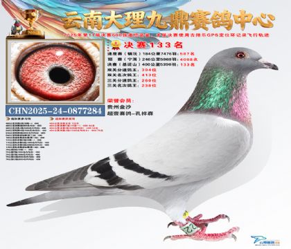 大理九鼎决赛133名