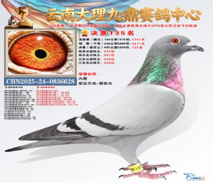 大理九鼎决赛135名