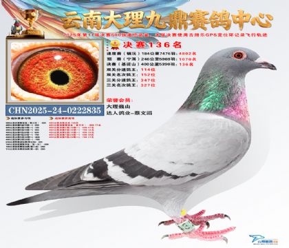 大理九鼎决赛136名