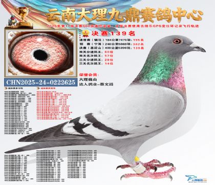 大理九鼎决赛139名