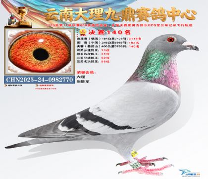 大理九鼎决赛140名