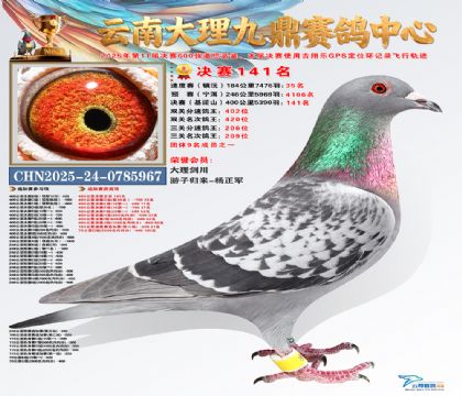 大理九鼎决赛141名