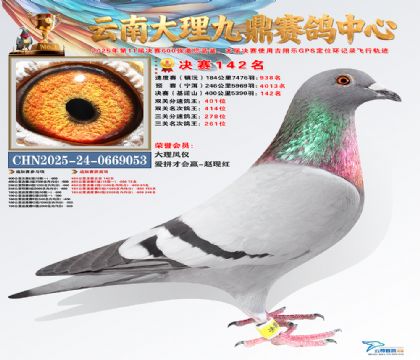 大理九鼎决赛142名