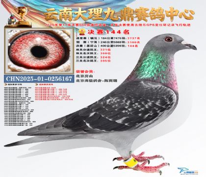 大理九鼎决赛144名