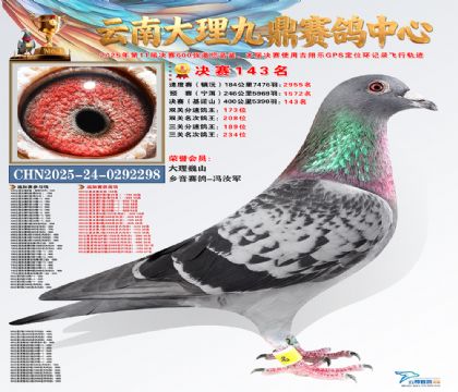 大理九鼎决赛143名