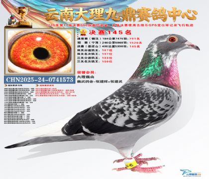 大理九鼎决赛145名