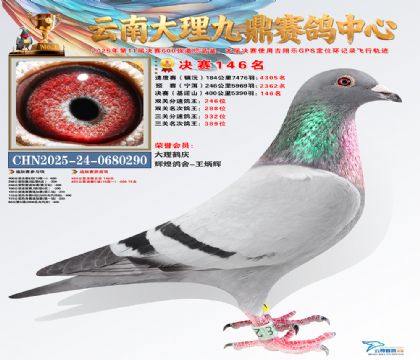 大理九鼎决赛146名