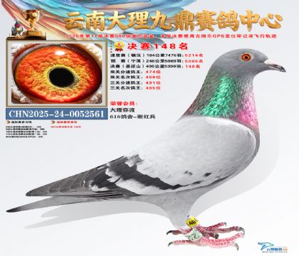 大理九鼎决赛148名