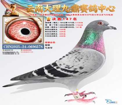 大理九鼎决赛147名