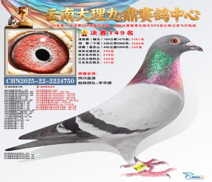 大理九鼎决赛149名