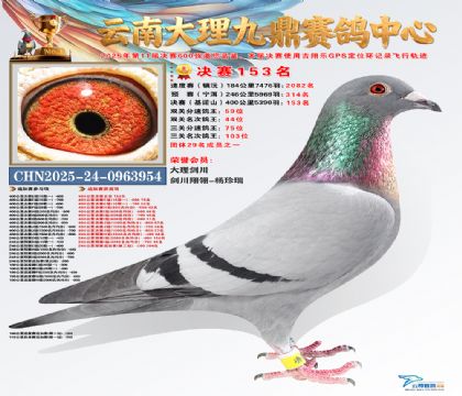 大理九鼎决赛153名