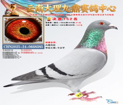 大理九鼎决赛152名