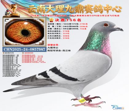 大理九鼎决赛156名