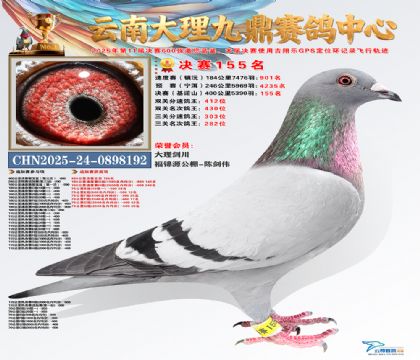 大理九鼎决赛155名