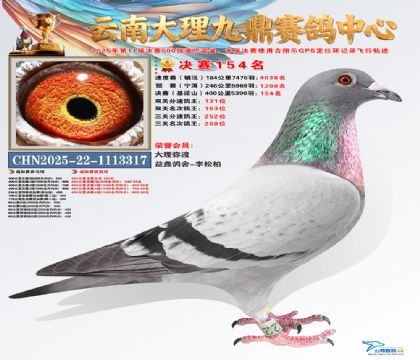 大理九鼎决赛154名