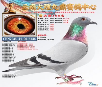 大理九鼎决赛158名