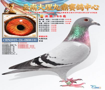 大理九鼎决赛160名