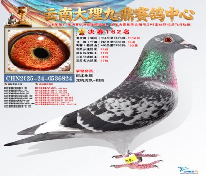 大理九鼎决赛162名