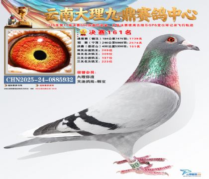 大理九鼎决赛161名