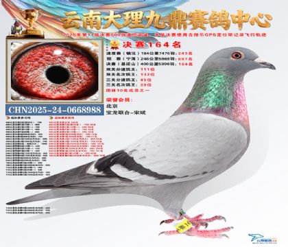 大理九鼎决赛164名