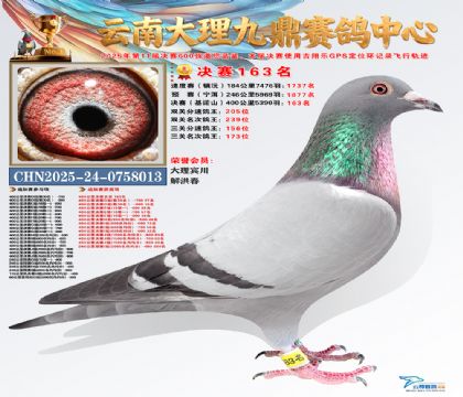 大理九鼎决赛163名