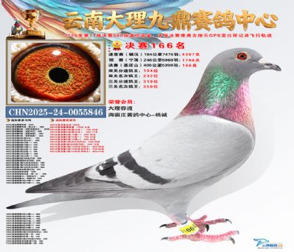 大理九鼎决赛166名