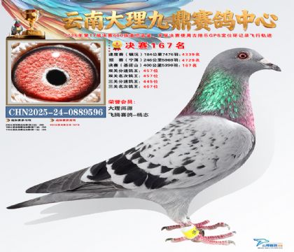 大理九鼎决赛167名