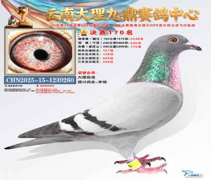 大理九鼎决赛170名