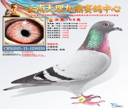 大理九鼎决赛169名