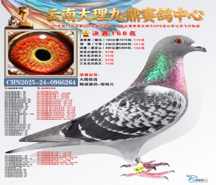 大理九鼎决赛168名