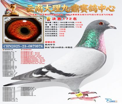 大理九鼎决赛172名