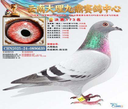 大理九鼎决赛173名